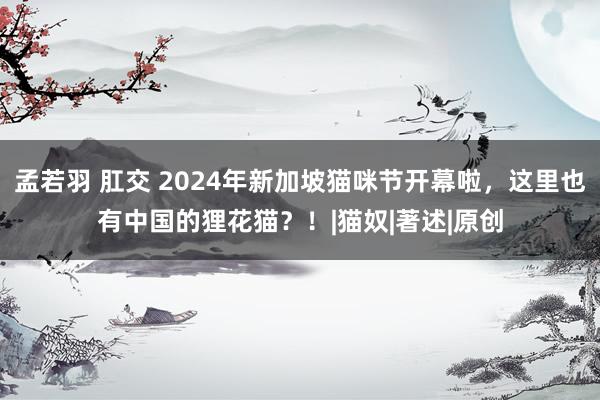孟若羽 肛交 2024年新加坡猫咪节开幕啦，这里也有中国的狸花猫？！|猫奴|著述|原创