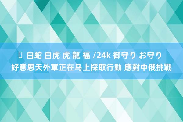 ✨白蛇 白虎 虎 龍 福 /24k 御守り お守り 好意思天外軍正在马上採取行動 應對中俄挑戰