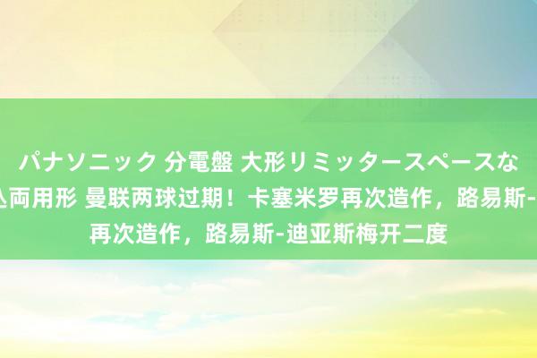 パナソニック 分電盤 大形リミッタースペースなし 露出・半埋込両用形 曼联两球过期！卡塞米罗再次造作，路易斯-迪亚斯梅开二度